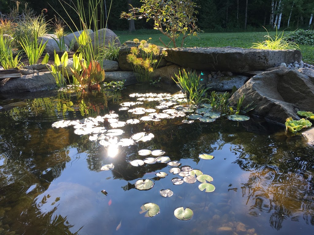 Lavish Gardens | 39 Mill St, Stirling, ON K0K 3E0, Canada | Phone: (613) 970-4682