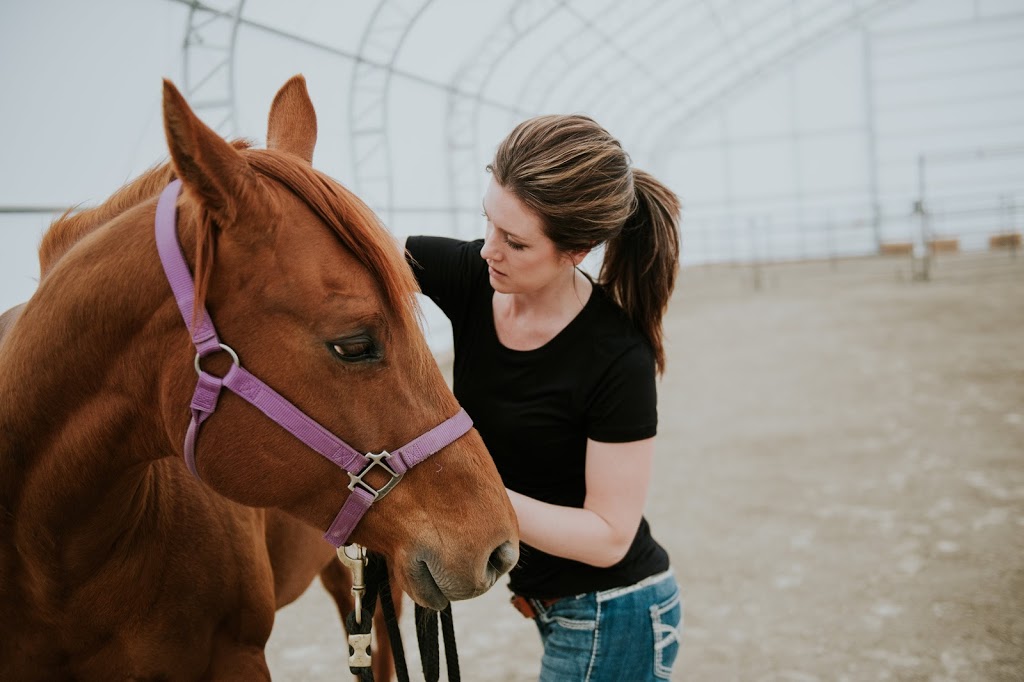 Energy Equine Veterinary | 281056 Dickson Stevenson Trail, Rocky View No. 44, AB T4B 4L5, Canada | Phone: (403) 700-0818