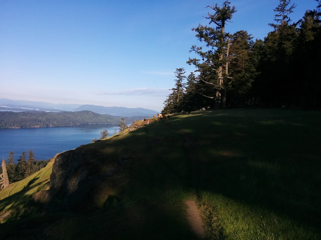 Blade Runner Yardworks | 809 Ebedora Lane, Malahat, BC V0R 2L0, Canada | Phone: (250) 812-0380
