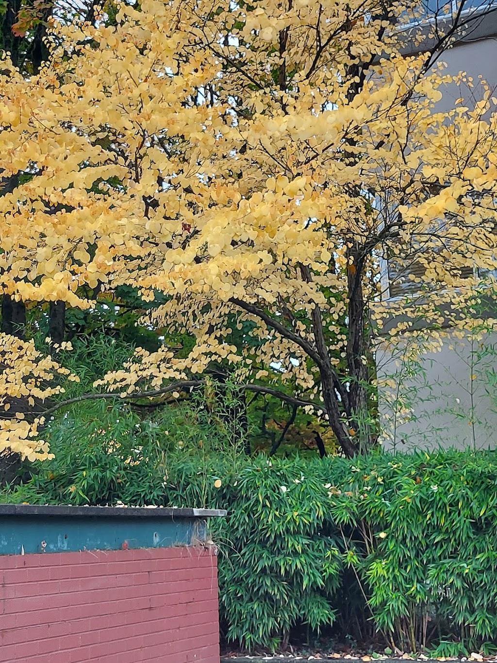 Cypress Gardens | 615 Westview Pl, North Vancouver, BC V7N 3X5, Canada | Phone: (604) 987-8708