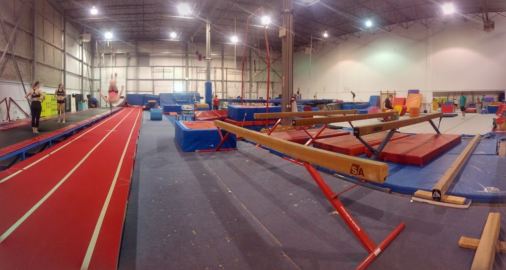 Phoenix Gymnastics Centre | 9704 12 Ave SW, Edmonton, AB T6X 0J4, Canada | Phone: (780) 438-0586