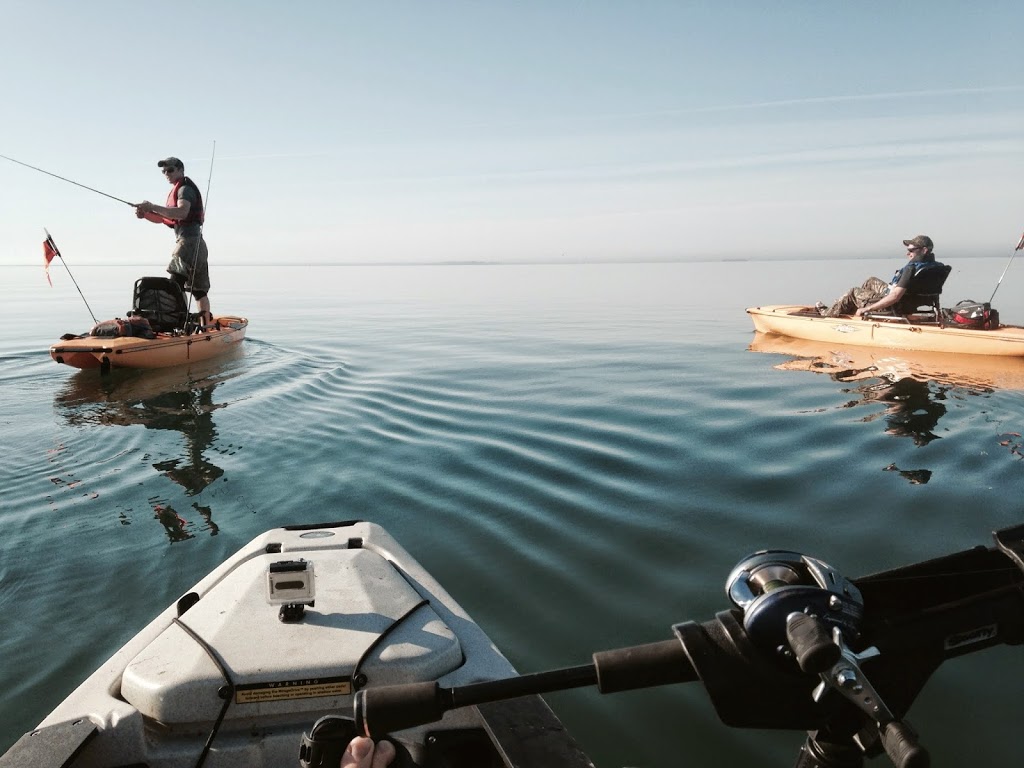 Baer Fishing Adventures | 1730 Front Rd, St Williams, ON N0E 1P0, Canada | Phone: (519) 718-8113