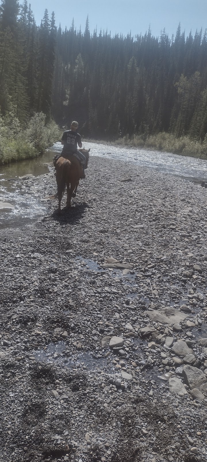Chungo Creek Outfitters | Chungo Rd, Nordegg, AB T0M 2H0, Canada | Phone: (403) 844-9127