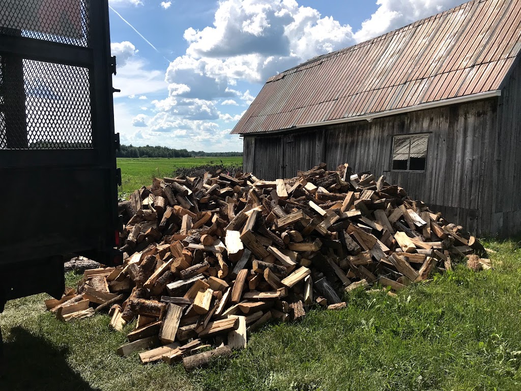 Flammebec Bois de chauffage | 591 Chemin Bourret, Saint-Apollinaire, QC G0S 2E0, Canada | Phone: (418) 930-8530