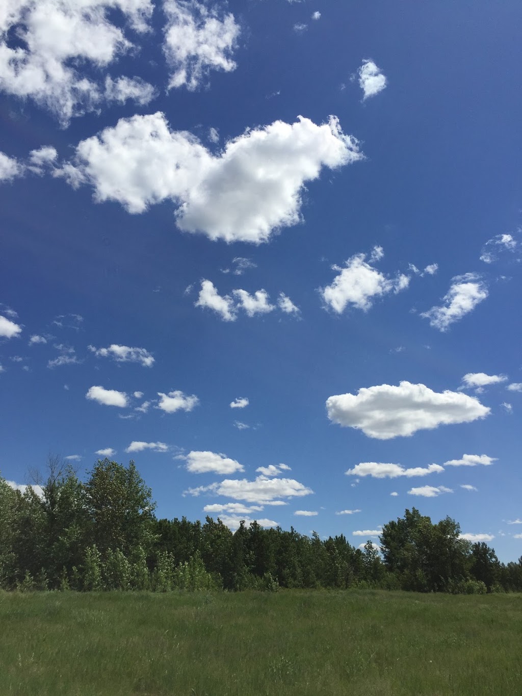 Pipestone Creek Conservation Lands | Range Rd 231A, Millet, AB T0C 1Z0, Canada