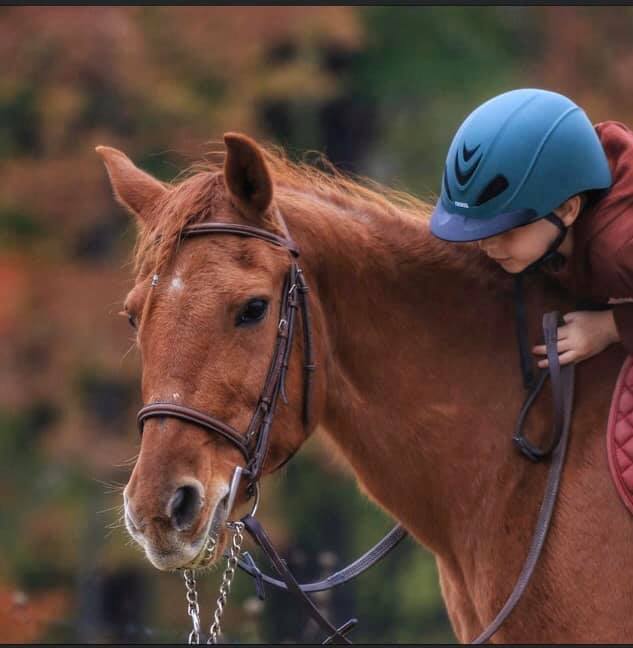 Aisling Farms | 202045, ON-21, Owen Sound, ON N4K 5N7, Canada | Phone: (519) 377-7031