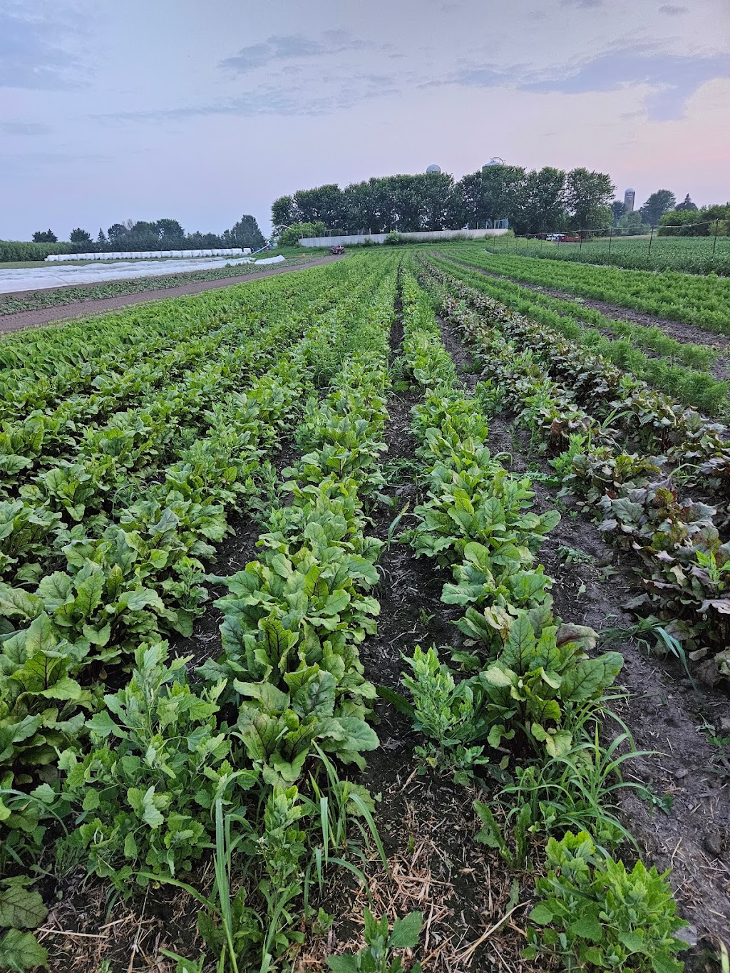Ferme Briho-Bel | 2487 Rang Saint-Jacques, Saint-Jacques, QC J0K 2R0, Canada | Phone: (438) 372-8188