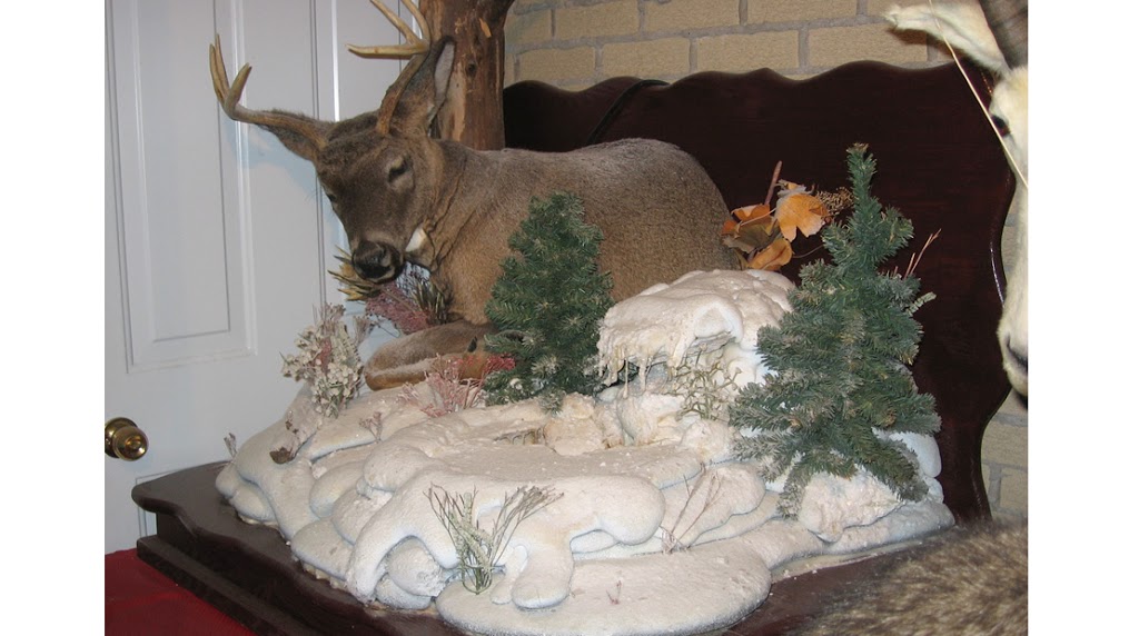 Taxidermie taxidermiste Faune Nature | 11 Rue des Milans, Saint-Paul-dAbbotsford, QC J0E 1A0, Canada | Phone: (450) 775-0335