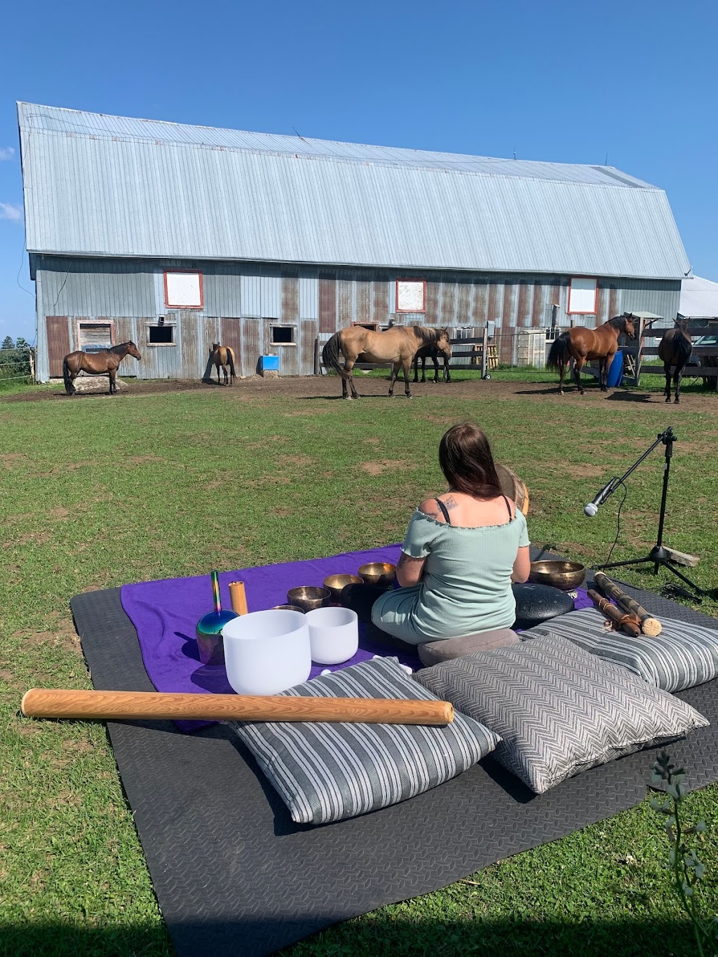 LaVoie du cheval | 90 2 Rang E, Trois-Pistoles, QC G0L 4K0, Canada | Phone: (450) 302-9729