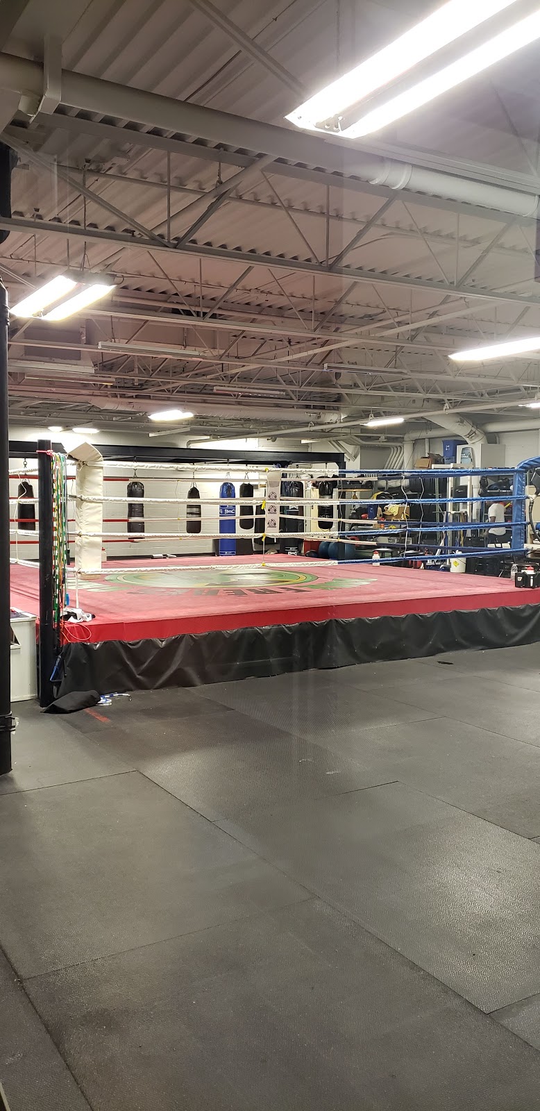 Monster Gym | 2101 Rte Transcanadienne, Dorval, QC H9P 1J1, Canada | Phone: (514) 421-0014