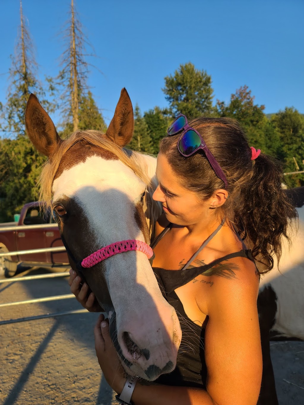 Hillside Stables Inc | 7465 Upper Prairie Rd, Chilliwack, BC V4Z 1J4, Canada | Phone: (604) 795-1504