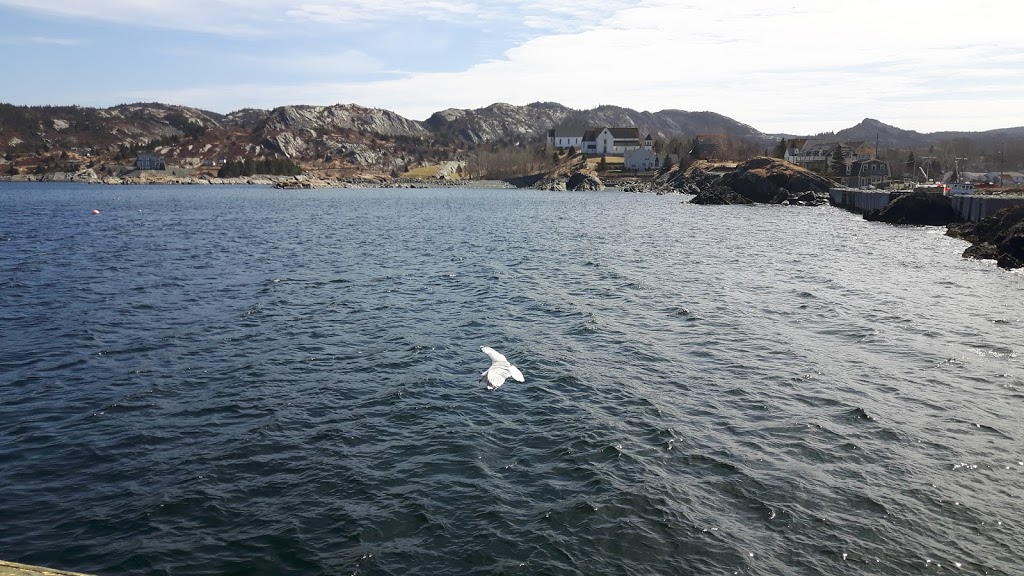 Brigus Seacliff | 44 Harbour Dr, Brigus, NL A0A 1K0, Canada | Phone: (709) 528-4488