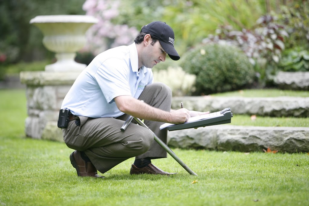 Nutri-Lawn Ecology Friendly Lawn Care Ottawa West | 2046 Carp Rd, Carp, ON K0A 1L0, Canada | Phone: (613) 801-3428