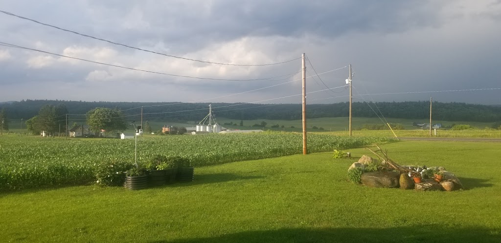 ONSLOWFARM Pontiac | 6800 Chem. Henderson, Quyon, QC J0X 2V0, Canada | Phone: (819) 458-3232