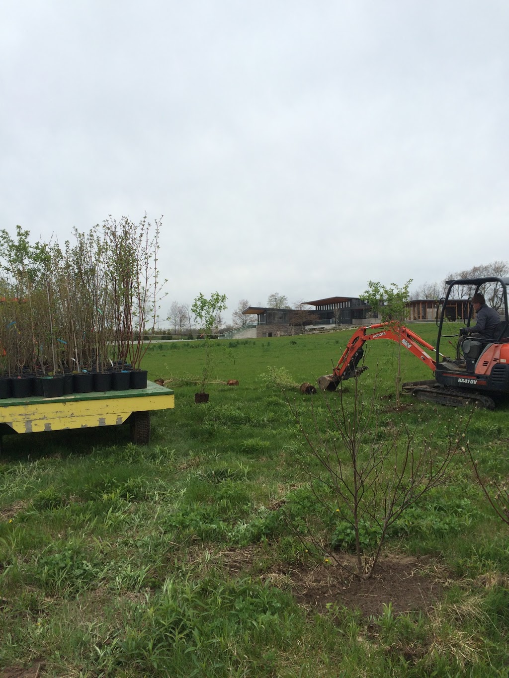 Travelling Trees Ltd | 6144 7 Line, Belwood, ON N0B 1J0, Canada | Phone: (519) 831-6094