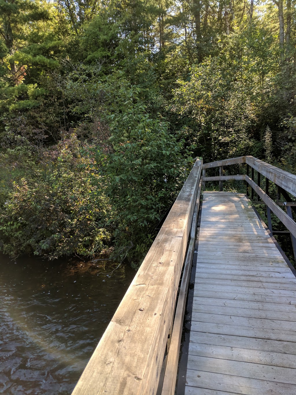 Goodrich-Loomis Conservation Area Parking | 1091-1345 Pinewood School Rd, Codrington, ON K0K 1R0, Canada | Phone: (613) 394-4829