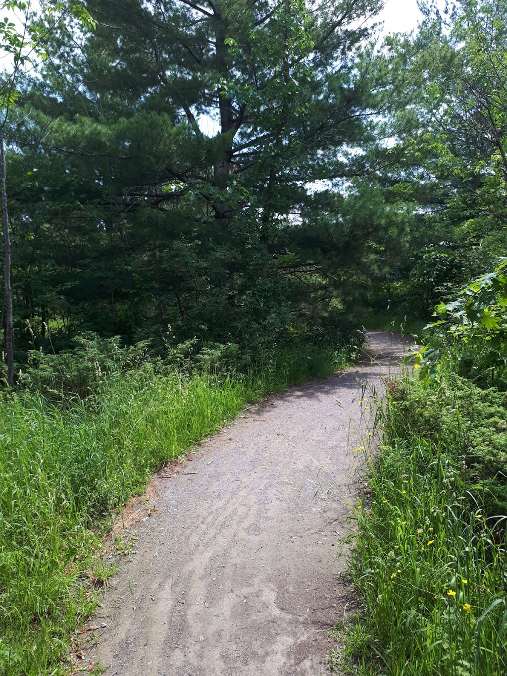 Jim Malone Park | 400 Goldridge Dr, Kanata, ON K2T 1A8, Canada
