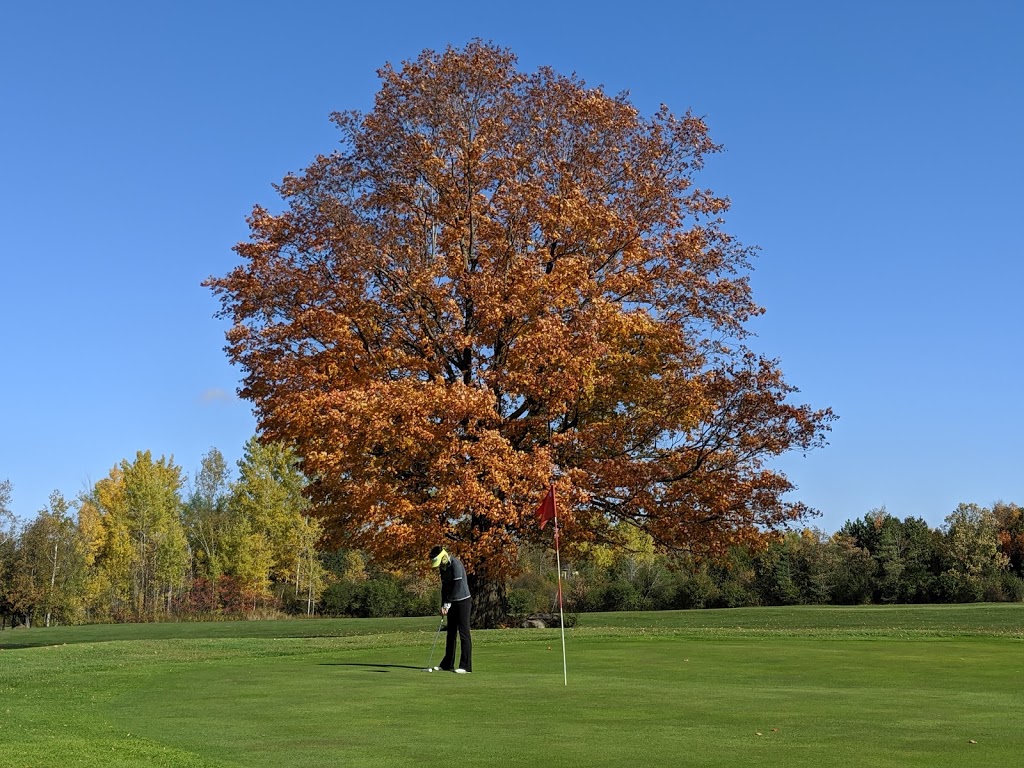 Richmond Centennial Golf Course | 3797 Joys Rd, Richmond, ON K0A 2Z0, Canada | Phone: (613) 838-4791