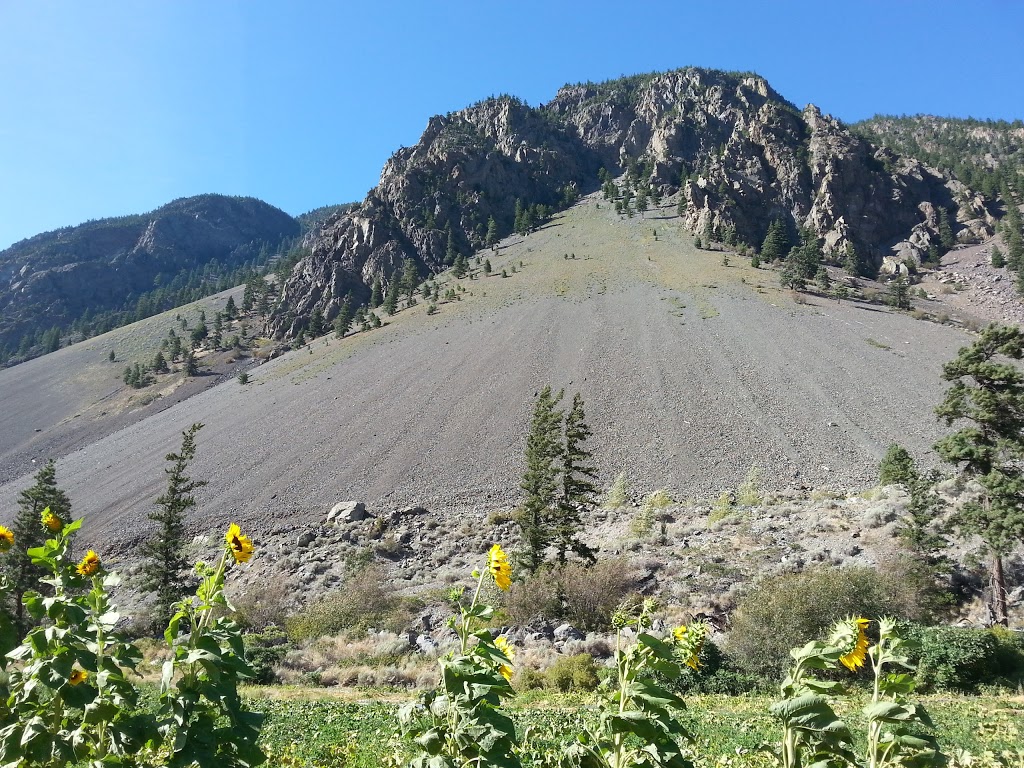 Blush Lane Organic Orchard | 3105 BC-3, Keremeos, BC V0X 1N1, Canada | Phone: (250) 499-5392