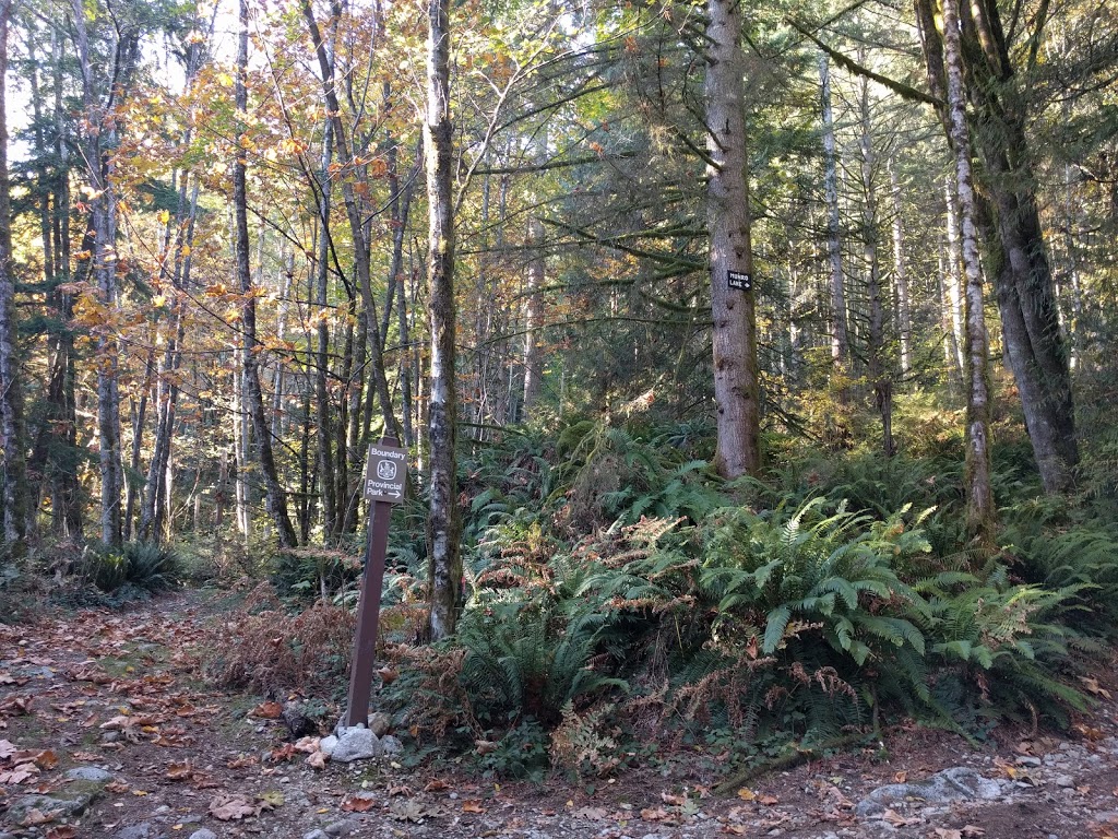 Munro Lake Trail | Munro, Lake Trail, Coquitlam, BC V3E 3H1, Canada