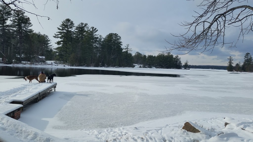 Rockside Cabins | 4674 Peterborough County Rd 36, Buckhorn, ON K0L 1J0, Canada | Phone: (705) 715-2111