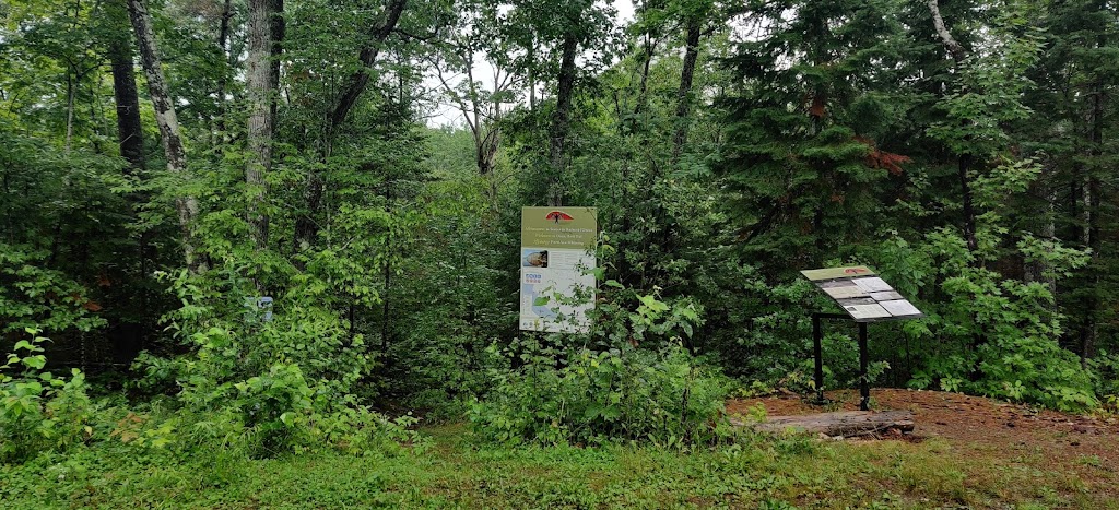 Rocher-à-lOiseau Trail | Chem. Schyan, Sheenboro, QC J0X 2Z0, Canada | Phone: (800) 665-5217