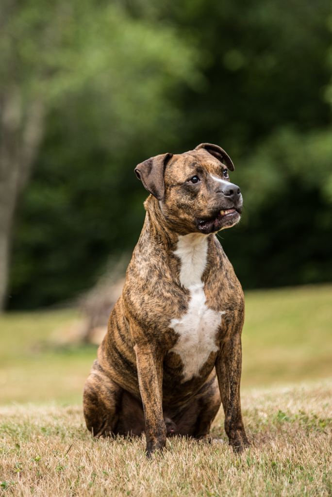 Brian T Walters Photography | Petawawa, ON K8H 0A9, Canada | Phone: (613) 401-9862
