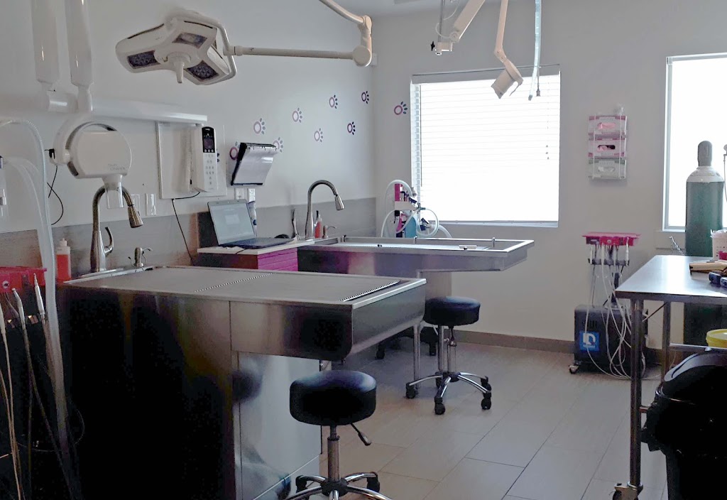 Vets To Go Private Surgery & Wellness Centre | 635 36 Ave NE, Calgary, AB T2E 2L8, Canada | Phone: (888) 995-8387