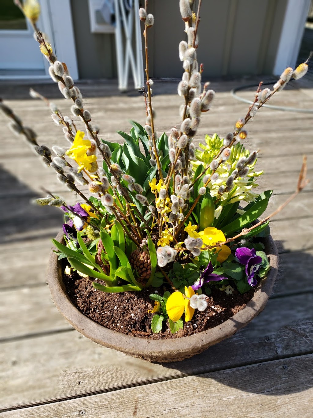 Proscape Horticultural Svc Ltd | 3244 Carriage Rd, Delaware, ON N0L 1E0, Canada | Phone: (519) 652-6335