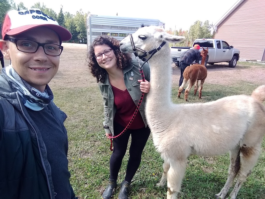 Club Chasse et Pêche Haute-Aboujagane | 326 Aboujagane Rd, Haute-Aboujagane, NB E4P 5M6, Canada | Phone: (506) 532-1229