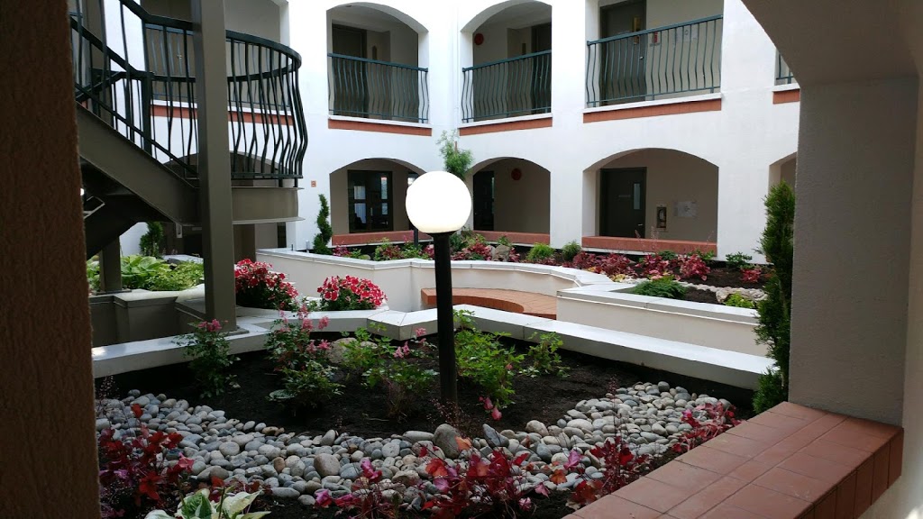 AB+C Landscape Maintenance Inc | 29521 Taylor Rd, Abbotsford, BC V4X 2E2, Canada | Phone: (604) 309-5545