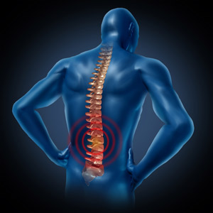 Dr. Kenny K. S. Chan: Shaughnessy Chiropractic | 936 W King Edward Ave, Vancouver, BC V5Z 2E2, Canada | Phone: (604) 739-2118