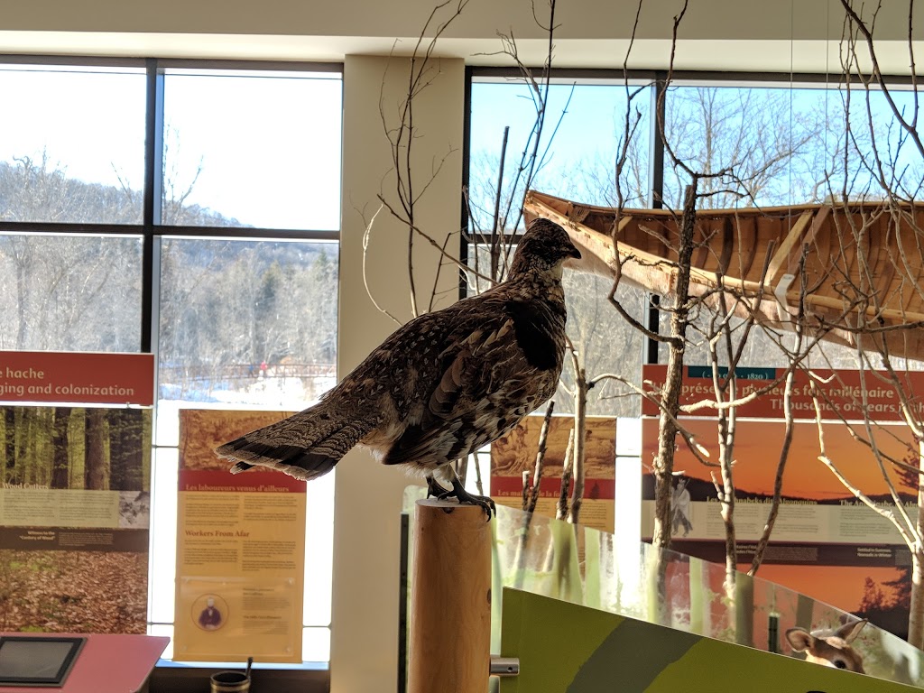 Gatineau Park Visitor Centre | 33 Chemin Scott, Chelsea, QC J9B 1R5, Canada | Phone: (819) 827-2020
