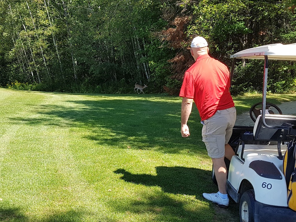 Capri Golf Club | 342 Rue Kenna, Saint-Colomban, QC J5K 2M8, Canada | Phone: (450) 436-5261