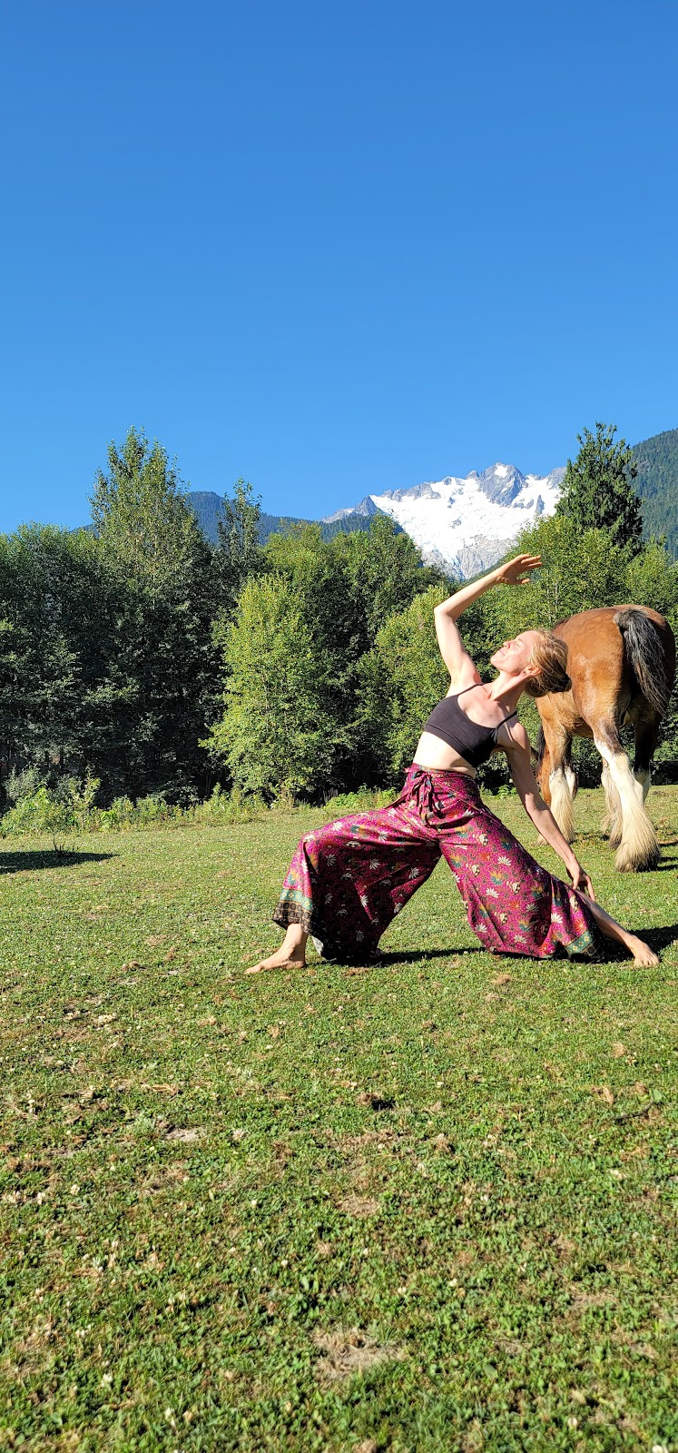 Glacier Valley Farm | 12825 Squamish Valley Rd, Brackendale, BC V0N 1H0, Canada | Phone: (604) 902-5951