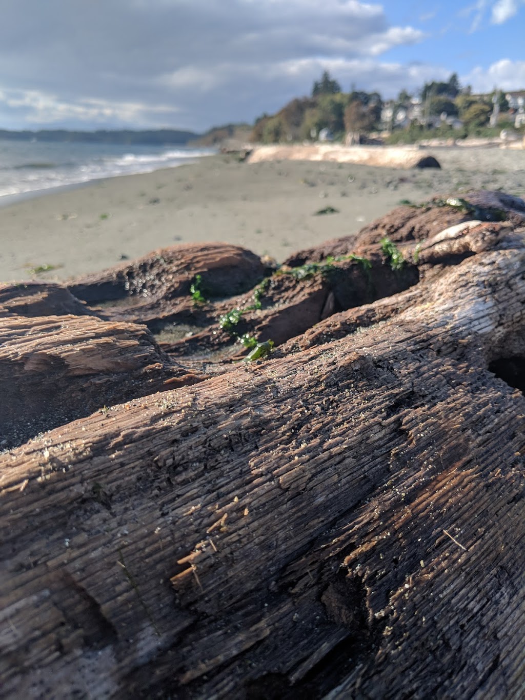 Parking lot Lagoon beach | 3384 Ocean Blvd, Victoria, BC V9C 1W7, Canada