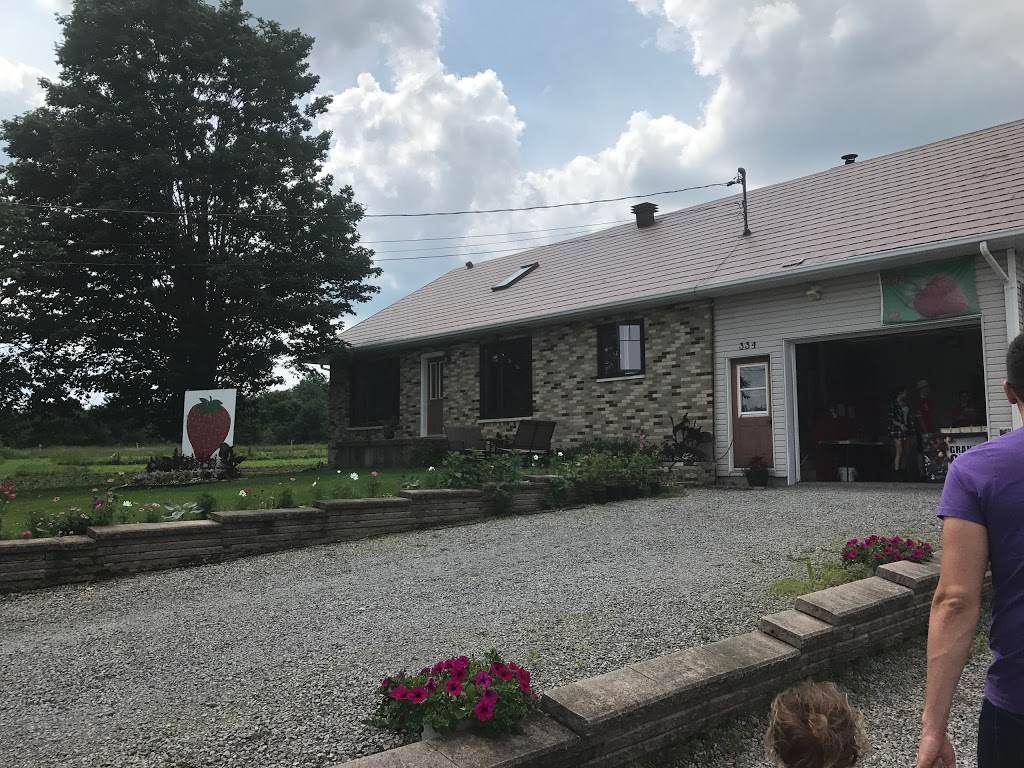 FRAISIÈRE ROSELINE DROLET | 334 4e Rang O, Saint-Augustin-de-Desmaures, QC G3A 1W8, Canada | Phone: (418) 878-3281