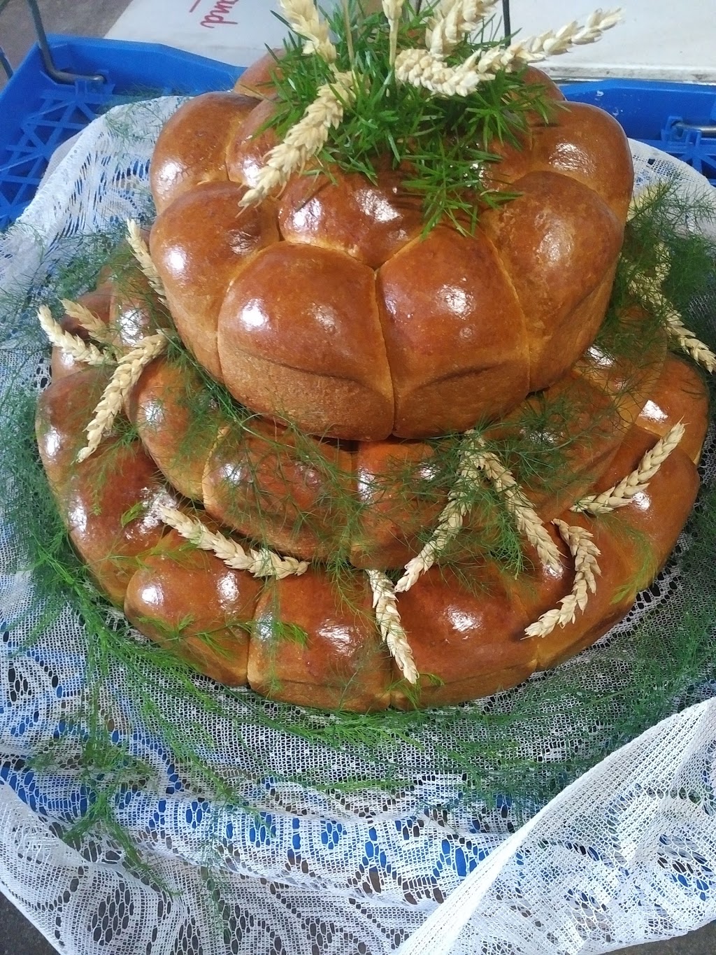 St. Joseph Bakery | 53 Facer St, St. Catharines, ON L2M 5H7, Canada | Phone: (905) 937-4411