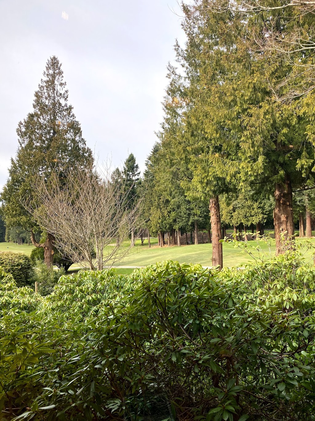 University Golf Club | 5185 University Blvd, Vancouver, BC V6T 1X5, Canada | Phone: (604) 224-7799