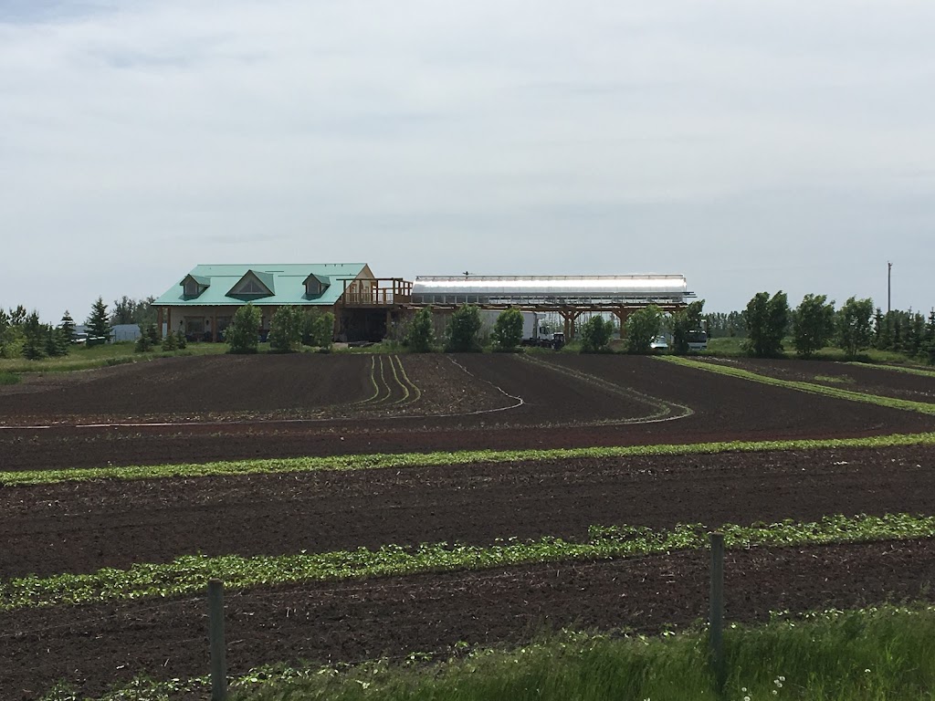 Peas On Earth Certified | 24527 Sturgeon Rd, Alberta T8T 1S2, Canada | Phone: (780) 973-6680