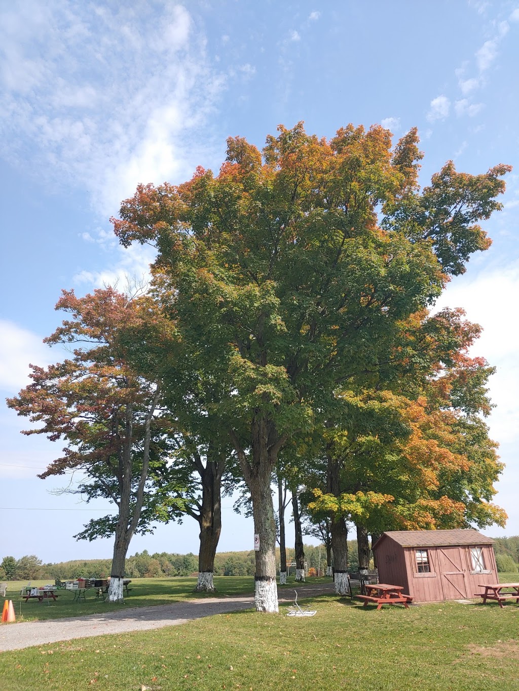 Hadiqa Ahmad - Ahmadiyya Muslim Community, Canada | 3999 10 Sideroad, Bradford, ON L3Z 2A5, Canada | Phone: (905) 303-4000