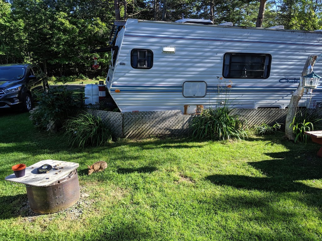 Forevergreen Country Campground | 3125 Brow Mtn. Rd, Berwick, NS B0P 1E0, Canada | Phone: (902) 691-2513