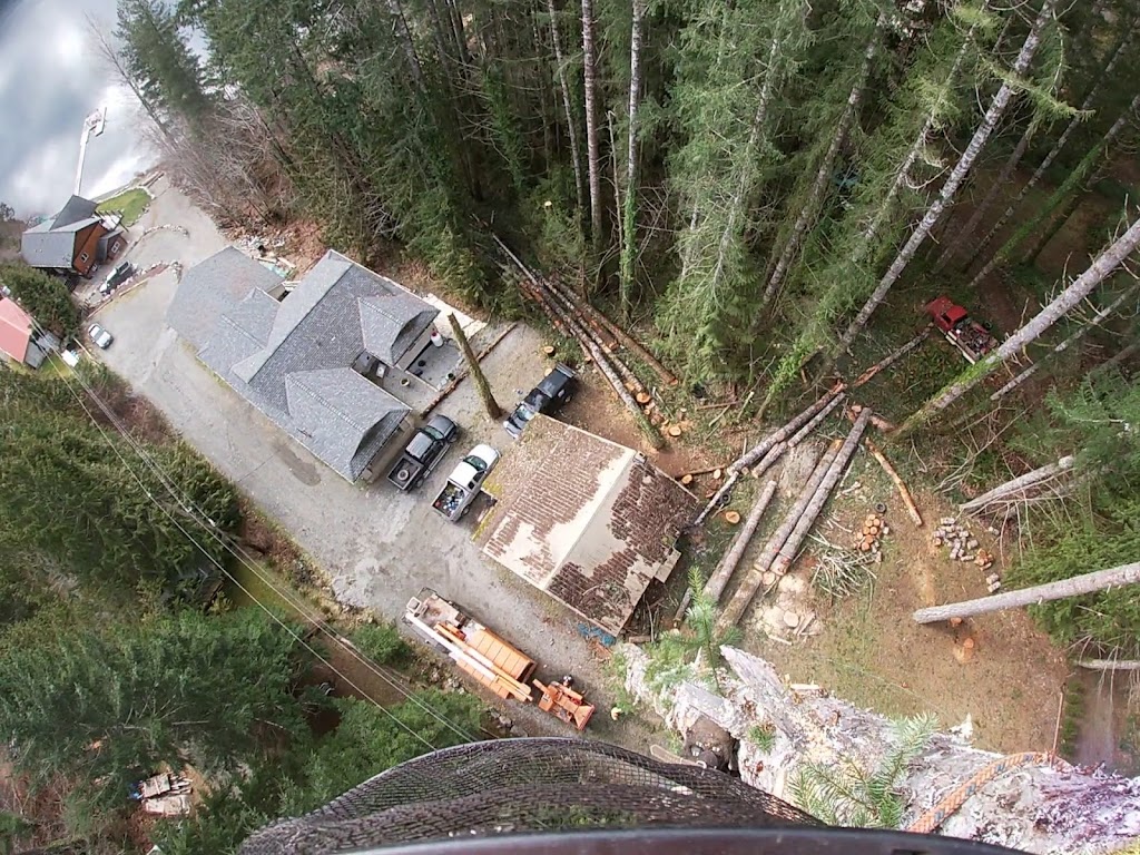 Nomad Tree Service | 5671 Falls St, Port Alberni, BC V9Y 8K7, Canada | Phone: (250) 735-2674