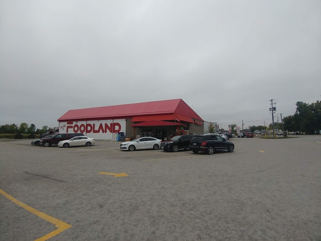 Captain Jacks Chip Truck | 2232 ONeill St, Brechin, ON L0K 1B0, Canada