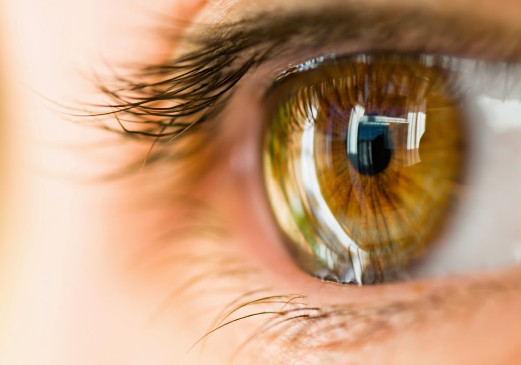 Revere Optical & Low Vision Clinic | 160 Stevenson Rd S #1, Oshawa, ON L1J 5M2, Canada | Phone: (905) 571-1321