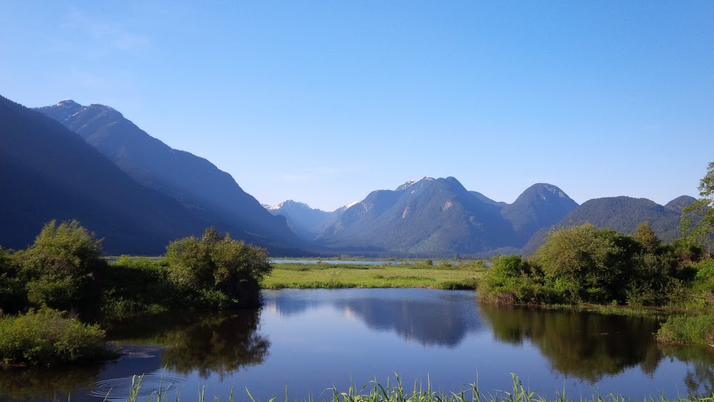 Pitt-Addington Marsh | Pitt Meadows, BC V3Y 1Z1, Canada