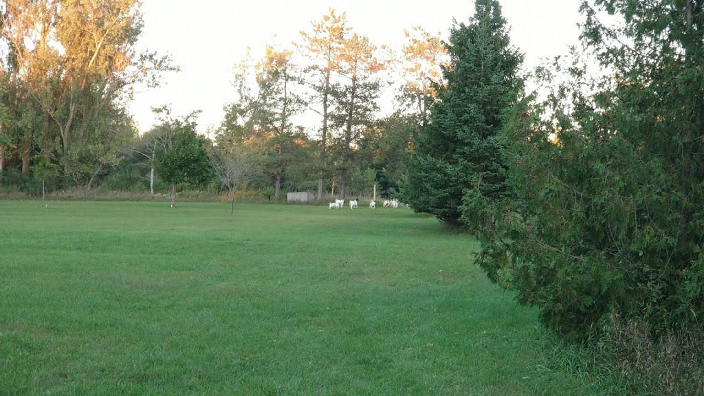 South Innisfil Arboretum | 1474 Shore Acres Dr, Gilford, ON L0L 1R0, Canada
