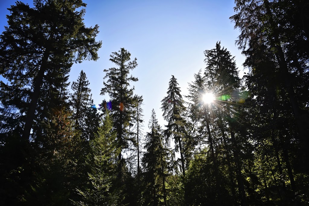Simply Serene Reiki/Animal Reiki Reflexology | 676 Martindale Rd, Parksville, BC V9P 1R8, Canada | Phone: (250) 591-0511