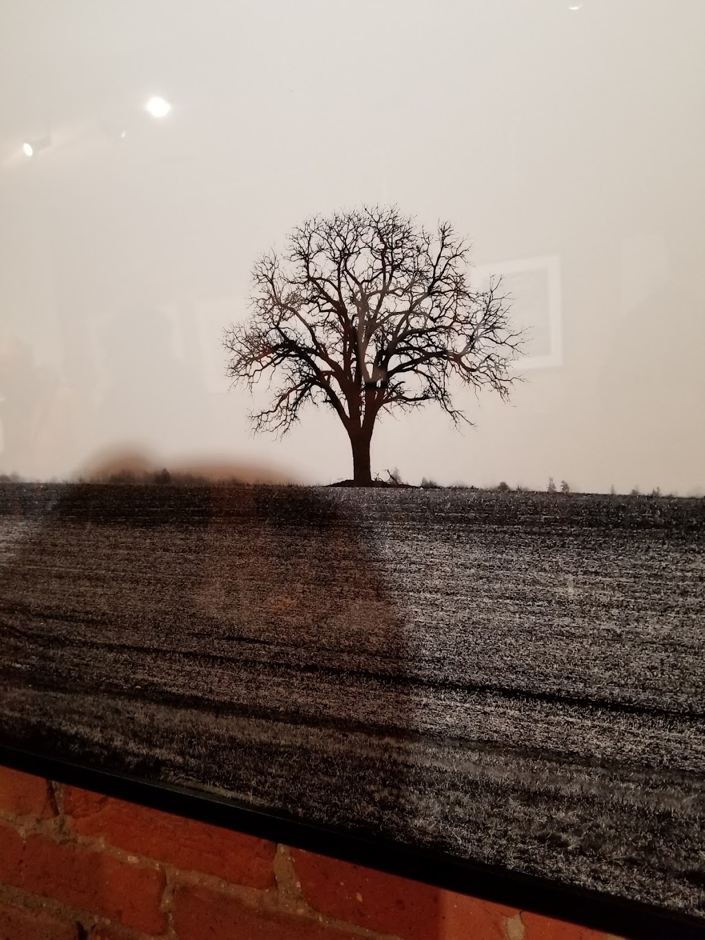 Queen Gallery | 382 Queen St E, Toronto, ON M5A 1T1, Canada | Phone: (416) 900-6383
