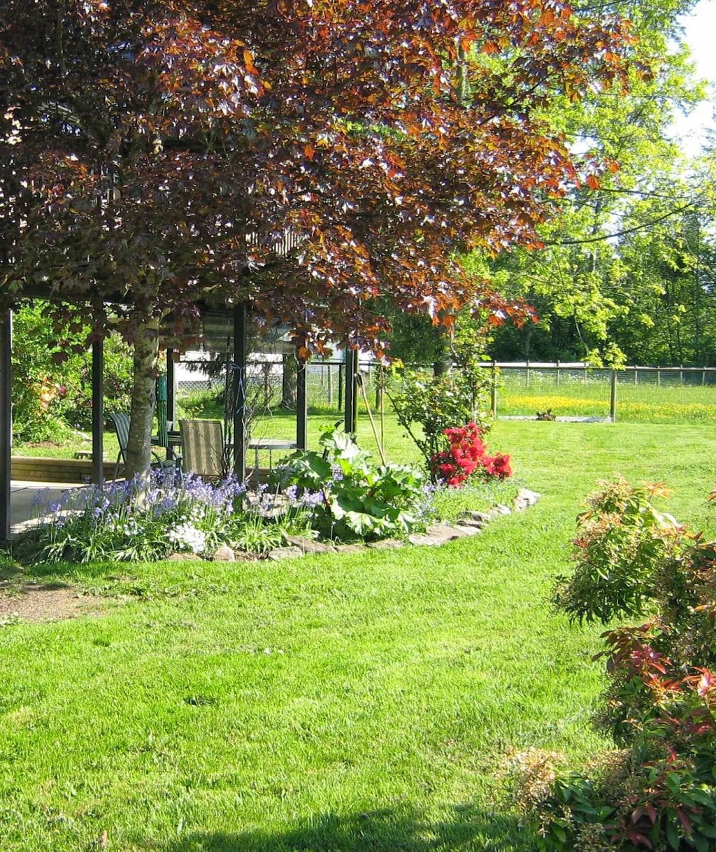 Noble Hope Adult Day Care | 2425 224 St, Langley City, BC V2Z 2Z3, Canada | Phone: (604) 539-8254